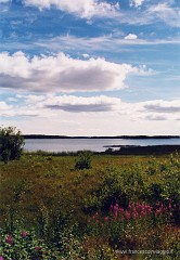 36.jpg  36
